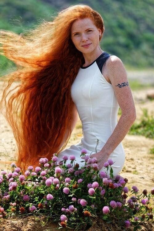 best red hair images on pinterest redheads red hair and red